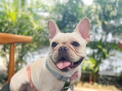 -宁波之星奔驰4S店(海曙店)