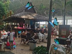 -渔岛海洋度假区