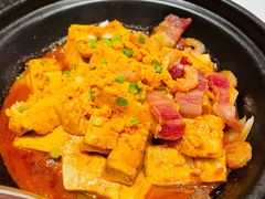 蚝汁海胆有机豆腐煲-北京厨房(SKP店)