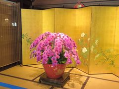 -ZEN采蝶轩·粤味臻鲜·手作点心·商务宴请(泰州店)