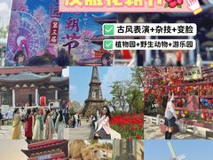 -祥源·阜阳生态乐园