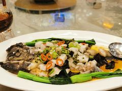 鲜花椒蒸龙趸鱼骨-顺悦酒家(嘉信城市广场店)