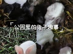 -民盈·国贸城