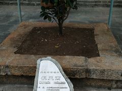 -总统兵马大元帅府