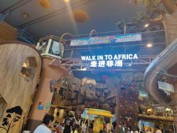 -卡通尼·Safari非洲探索乐园·生日会(金桥国际商业广场店)