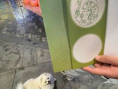 -瑞虹新天地月亮湾