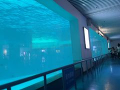 -泉城欧乐堡海洋极地世界