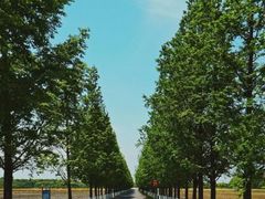 -嘉北郊野公园