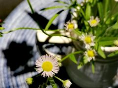 -17号蓝滩咖啡馆(武夷山店)