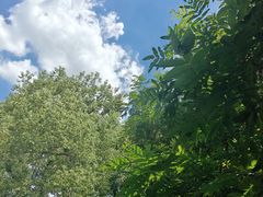 -橘洲1910花园江景西餐厅