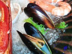 -AZUR聚(香格里拉饭店)