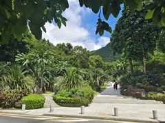-深圳仙湖植物园