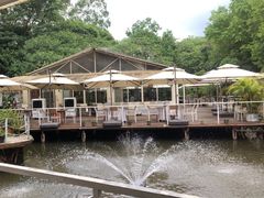 -芭厘·农庄老字号.电饭煲五指毛桃焗鸡