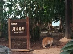 -龙达温泉生态城