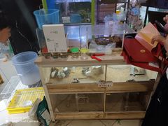 -恒生商业广场(上丰店)