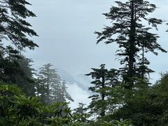 -瓦屋山景区