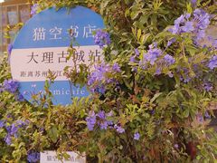 -大理古城