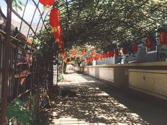 -大海别墅民宿农家院(十渡店)