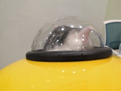-悦宠凯宝动物医院·牙科·皮肤科(朝阳北路店)
