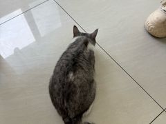 -美联众合动物医院·24h京西诊疗中心