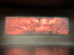 -罗红摄影艺术馆