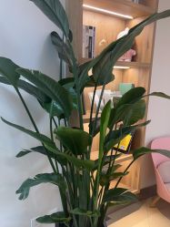 -JUVA郑州欧华医疗美容医院