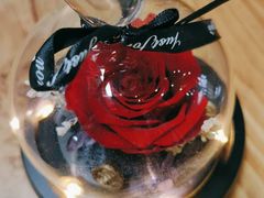 -拾花记花艺·求婚·订婚·生日布置(高新店)