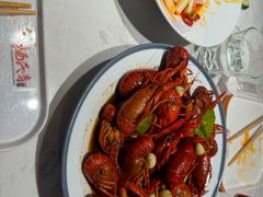 -杨氏青龙虾·羊蝎子(托乐嘉店)