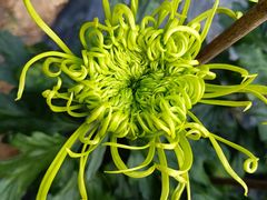 -贵州省植物园