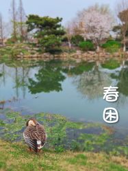 -玄武湖景区-情侣园游乐场