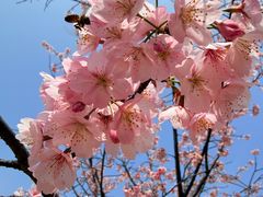 -乔伯凉面(白沙路店)