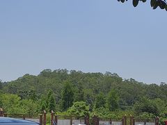 -三水森林公园