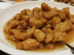 -丽苑大酒店