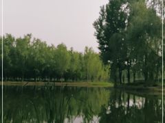 -东郊湿地公园