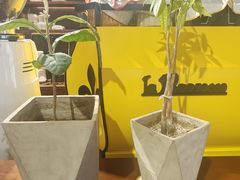 -沏点Trattoria意大利餐厅(新街口店)