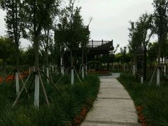 -天津东丽湖风景区