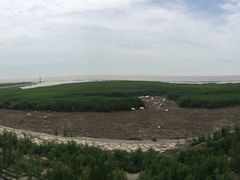 -南汇嘴观海公园