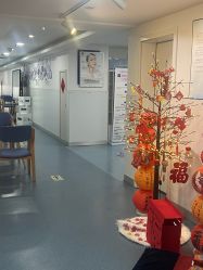 -温州伯思立医院