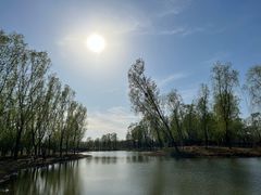 -东郊湿地公园
