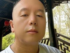 -合肥滨湖国家森林公园