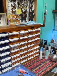 -苏针艺纹身·穿孔饰品