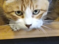 -上海交通大学董浩云航运博物馆