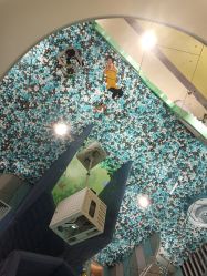 -meland club亲子乐园(重庆万象城店)