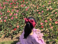 -石家庄市植物园