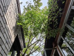 -VOYAGE COFFEE(杨梅竹店)