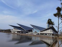 -盐城丹顶鹤湿地生态旅游区