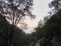 -泰山风景名胜区