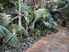 -国家植物园南园