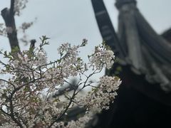-广富林宰相府酒店·水云间