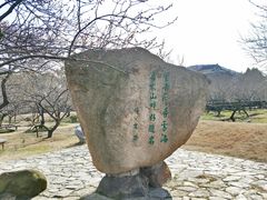 -香雪海